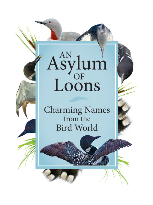 Title details for An Asylum of Loons by Adventure Publications - Wait list